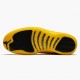 Kixify Jordan 12 Retro University Gold   Black/Black/University Gold 130690-070